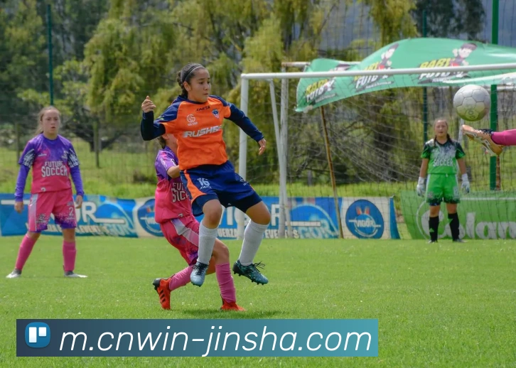 金沙娱乐城发展历程